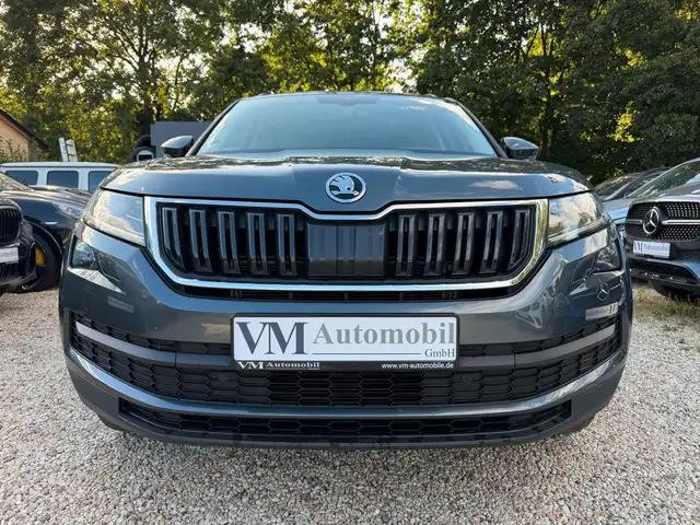 Skoda Kodiaq view 2