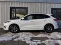 Ford Kuga ST-Line X FHEV Aut+Navi+Kamera+Sitzhzg+DAB Klima Blanc - thumbnail 2