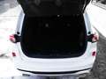 Ford Kuga ST-Line X FHEV Aut+Navi+Kamera+Sitzhzg+DAB Klima Blanc - thumbnail 9