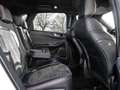 Ford Kuga ST-Line X FHEV Aut+Navi+Kamera+Sitzhzg+DAB Klima Blanc - thumbnail 8