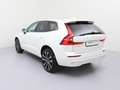Volvo XC60 T6 Plus Bright Recharge Plug-In Hybrid AWD Weiß - thumbnail 7