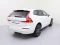Volvo XC60 T6 Plus Bright Recharge Plug-In Hybrid AWD Weiß - thumbnail 5