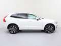 Volvo XC60 T6 Plus Bright Recharge Plug-In Hybrid AWD Weiß - thumbnail 4