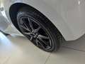 Mazda 2 1.5 Hybrid Homura ***SOLO 13.000KM*** Bianco - thumbnail 8