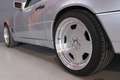 Mercedes-Benz SL 300 300SL-24 - thumbnail 10