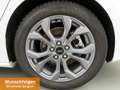 Ford Focus Turnier 1.5 Ecoblue Aut. ST-Line X PanDach Weiß - thumbnail 7