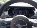 Ford Mustang Fastback 5.0 Ti-VCT V8 Aut. MACH1 338 kW, Gris - thumbnail 12