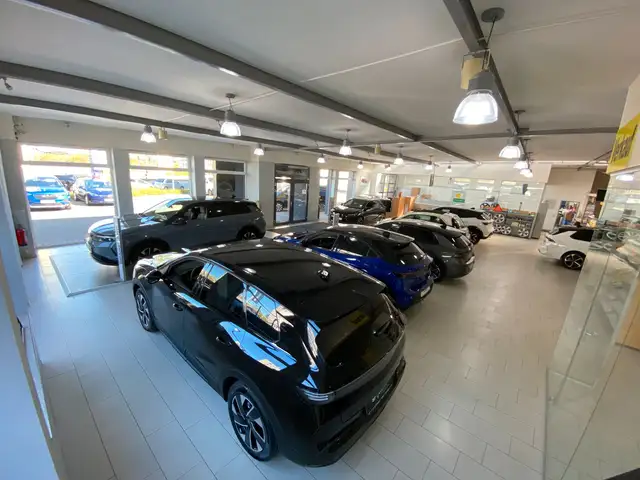 Opel Grandland view 5
