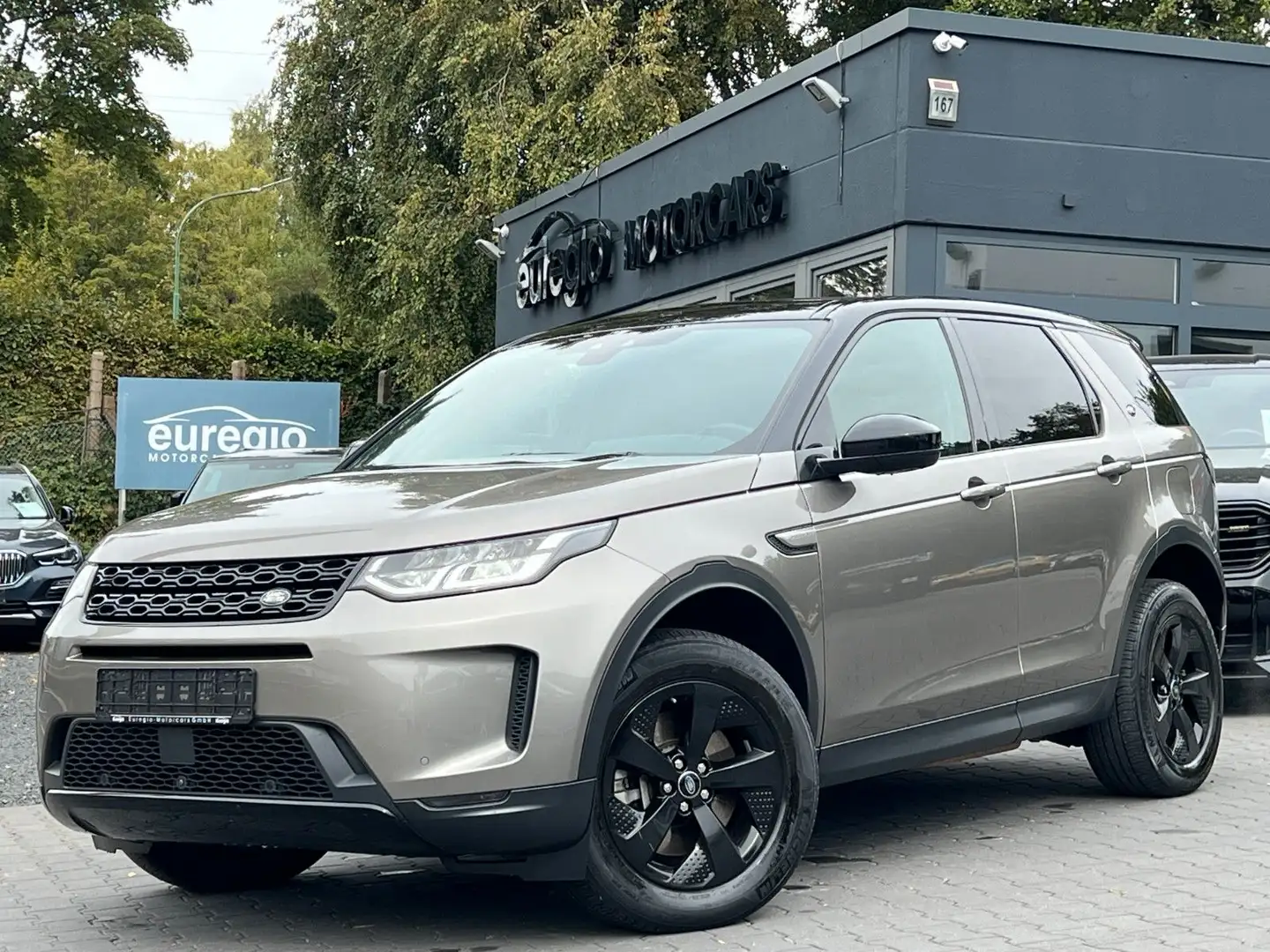 Land Rover Discovery Sport Hybrid S AWD 1 Hand - Panorama / Grau - 1