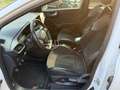 Ford Puma FORD PUMA 1.5 ecoboost ST Gold Edition s&s 200cv Blanc - thumbnail 13