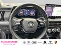 Skoda Kodiaq 2.0 TDI 4x4 Selection DSG+SHZv+h+KAMERA Grau - thumbnail 18