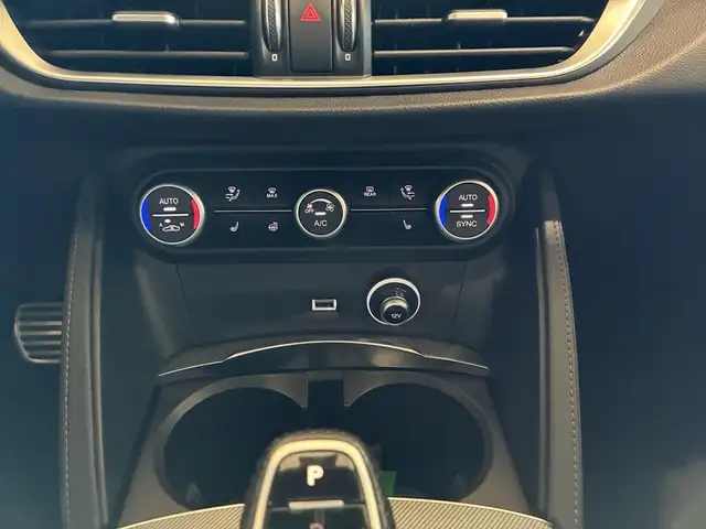 Alfa Romeo Stelvio view 11