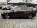 Lexus CT 200h Ultimate Edition NL-AUTO STOELVERW KEYLESS NAVI GR Braun - thumbnail 6