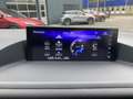 Lexus CT 200h Ultimate Edition NL-AUTO STOELVERW KEYLESS NAVI GR Braun - thumbnail 24