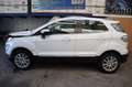 Ford EcoSport Titanium Weiß - thumbnail 2