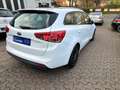 Kia Ceed / cee'd Cee'd Sportswagon 1.4 *Klima*SHZ*PDC* Weiß - thumbnail 5