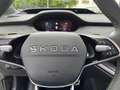 Skoda Enyaq RS NEUES MODELL Maxx|Panoramadach|AHK Schwarz - thumbnail 12