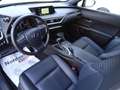 Lexus UX 250h UX Hybrid Midnight Grigio - thumbnail 9