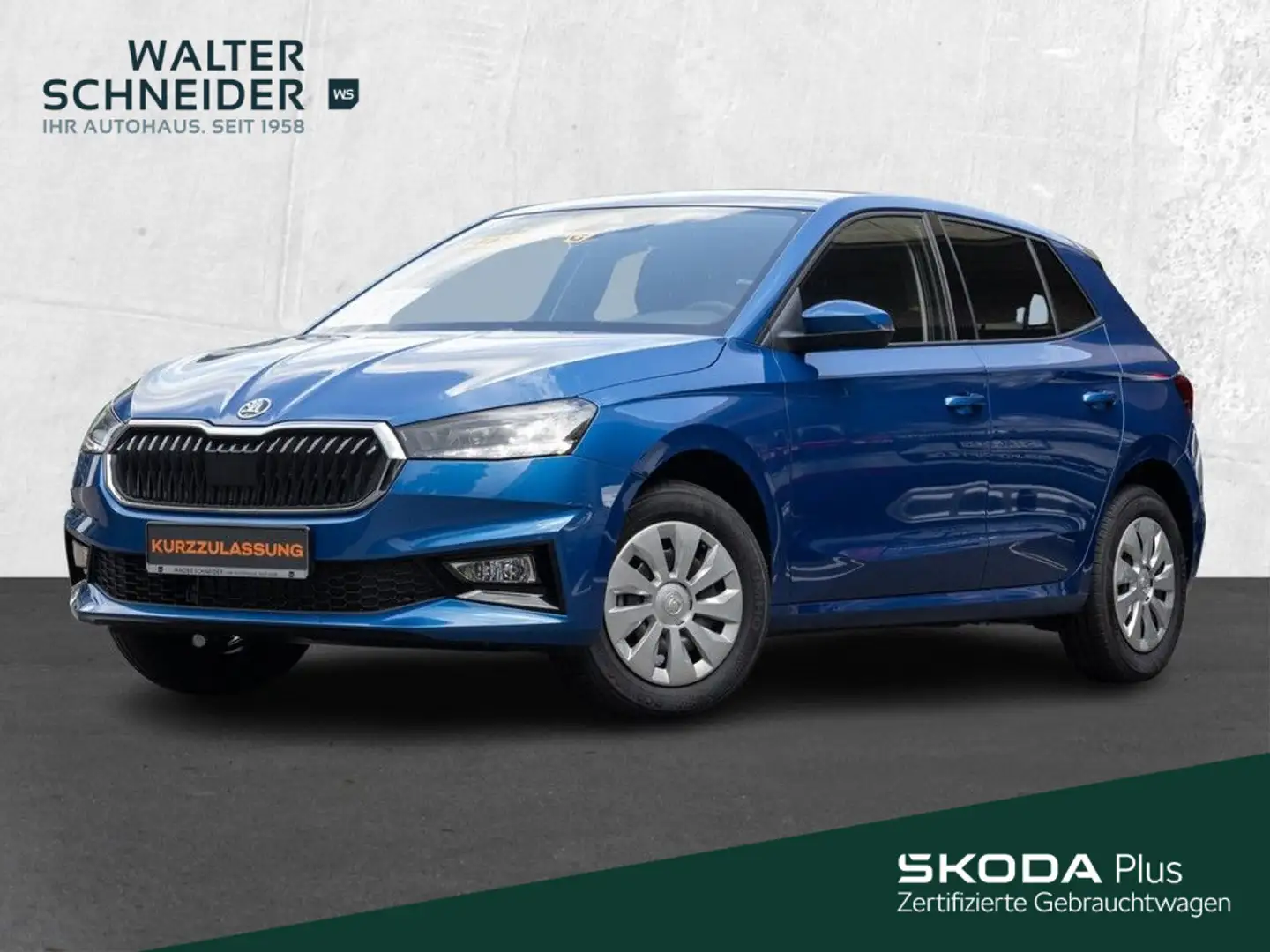 Skoda Fabia 1,0 TSI 95 PS Selection Sitzheizung Klima Azul - 1