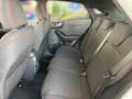 Ford Puma ST-Line 1.0 Ecoboost Grau - thumbnail 11