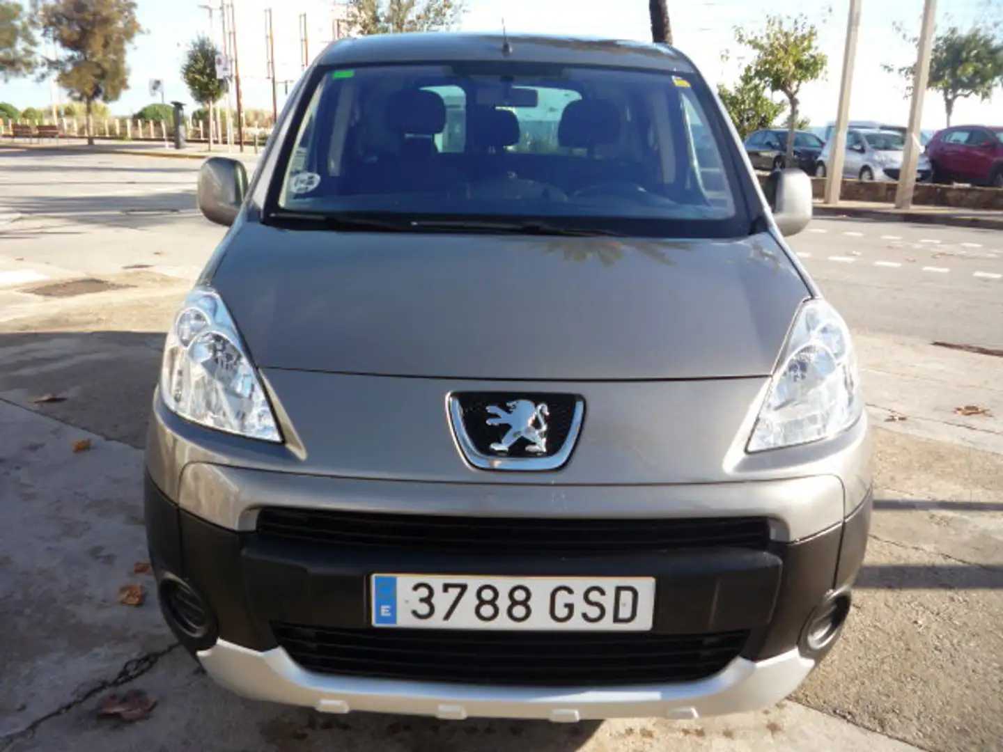 Peugeot Partner Tepee 1.6HDI Premium 110 Gris - 2