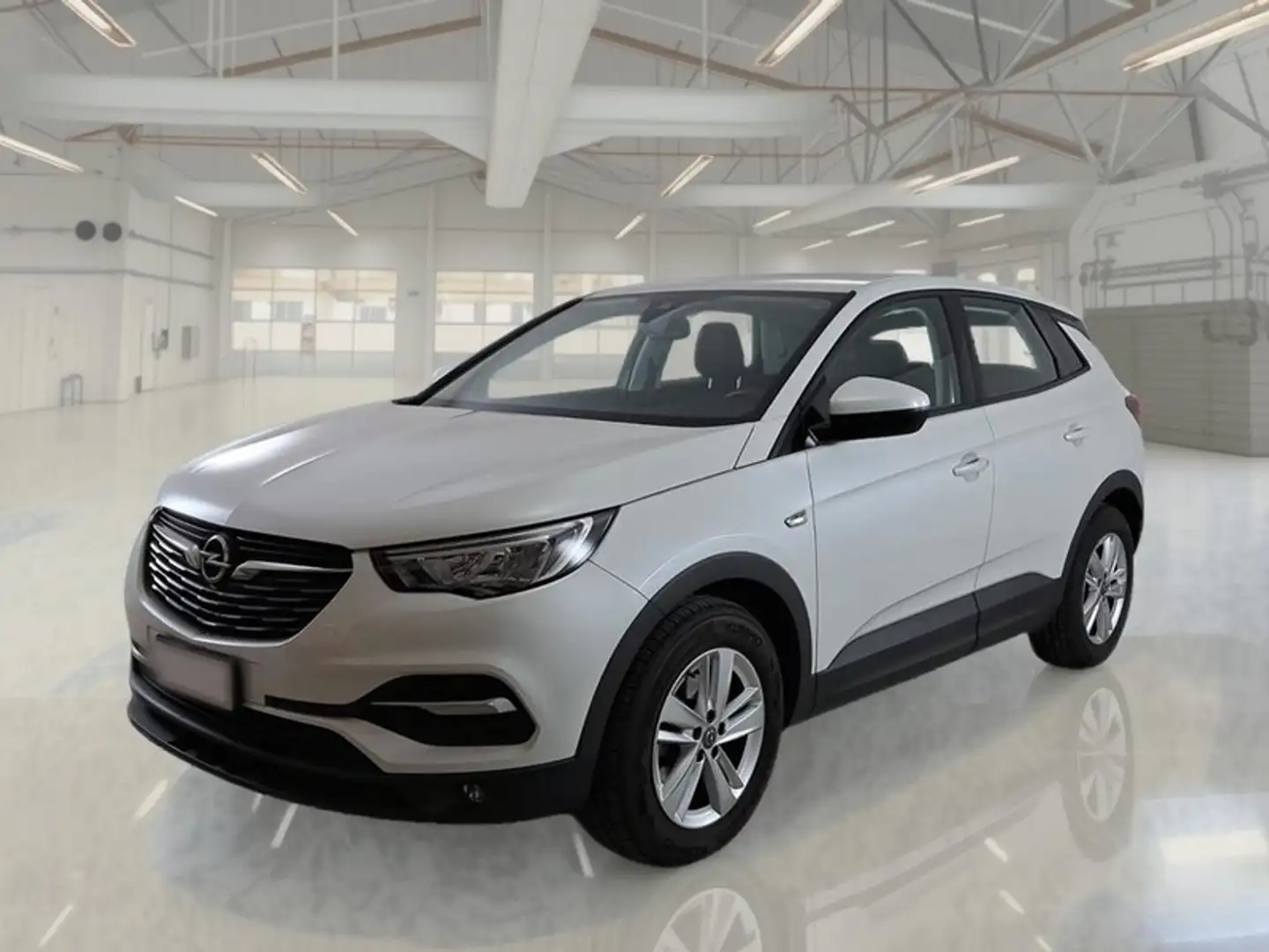 Opel Grandland X 1.5 Ecotec Diesel 130cv Business S&S AT8 - 1