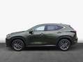 Lexus NX350h 4x4 Executive Alle Extras Modell2026 Verde - thumbnail 4