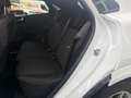 Ford Puma ST-LINE Automatik Weiß - thumbnail 16