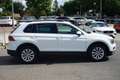 Volkswagen Tiguan 2.0 TDI Comfortline SHZ LED ACC Navi Weiß - thumbnail 5