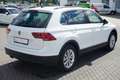 Volkswagen Tiguan 2.0 TDI Comfortline SHZ LED ACC Navi Weiß - thumbnail 6