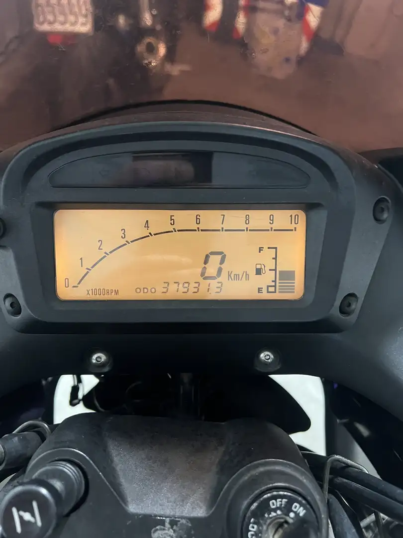 Suzuki XF 650 - 1