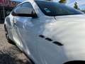 Maserati Ghibli 3.0 D 24V 274 cv Bo®te auto Blanco - thumbnail 23