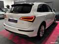 Audi Q5 2.0 TDI 150 S line RÉVISION À JOUR Weiß - thumbnail 11