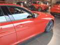 Alfa Romeo Giulia Giulia 2.2 Turbo 160 CV MT/6 Super Rouge - thumbnail 7