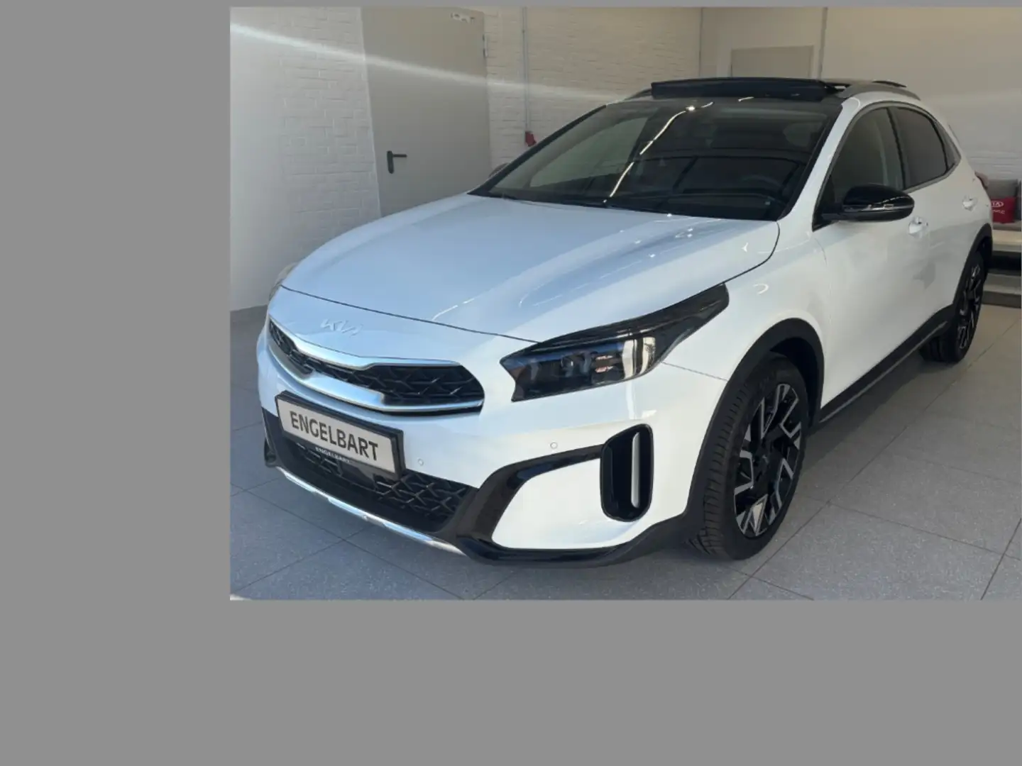 Kia XCeed Platinum Edition 1.5T Glasdach Weiß - 1