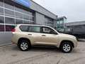 Toyota Land Cruiser Landcruiser 300 3,0 D-4D 175 City Aut. City Braun - thumbnail 3