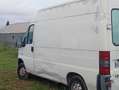 Citroen Jumper 2.5D 2001 230L T9A Blanco - thumbnail 5