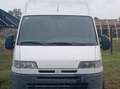 Citroen Jumper 2.5D 2001 230L T9A Blanco - thumbnail 1