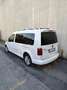 Volkswagen Caddy Comfortline Maxi 7 posti Bianco - thumbnail 3