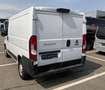 Fiat Ducato Kasten 150 L1H1 Navi Kamera Klima TÜV neu Weiß - thumbnail 3