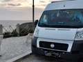 Fiat Ducato Ducato 30 130 Multijet L2H2 Weiß - thumbnail 1