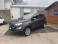 Ford EcoSport 1.0 ecoboost Titanium s&s 125cv my20.25 Grijs - thumbnail 1