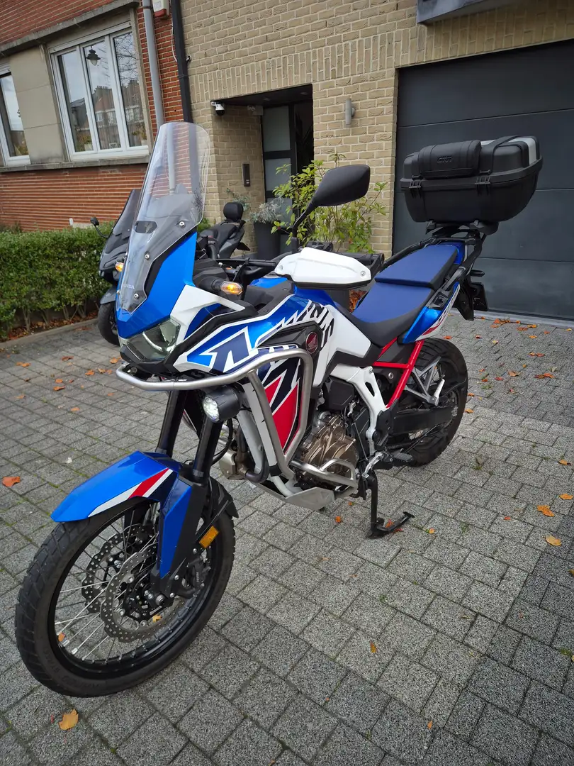 Honda CRF 1100 Blanc - 2