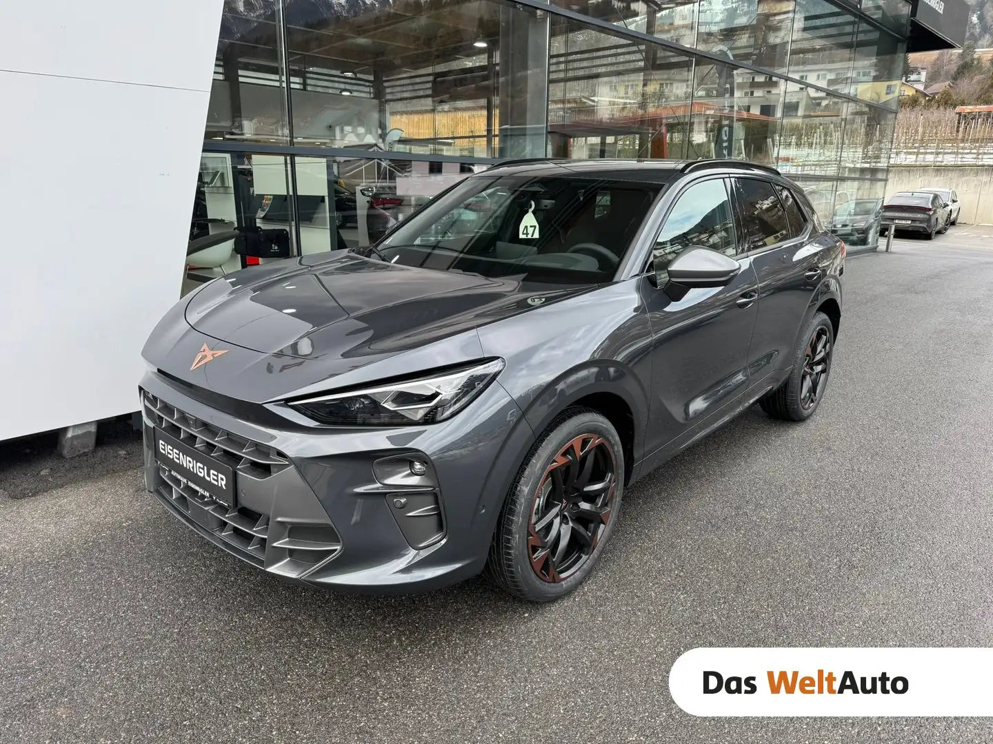 CUPRA Terramar 1.5 e-TSI 150 PS DSG Grau - 1