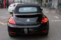 Volkswagen Maggiolino Maggiolino Cabrio 2.0 TDI DSG SENSORI SEDILI RISCA Noir - thumbnail 9