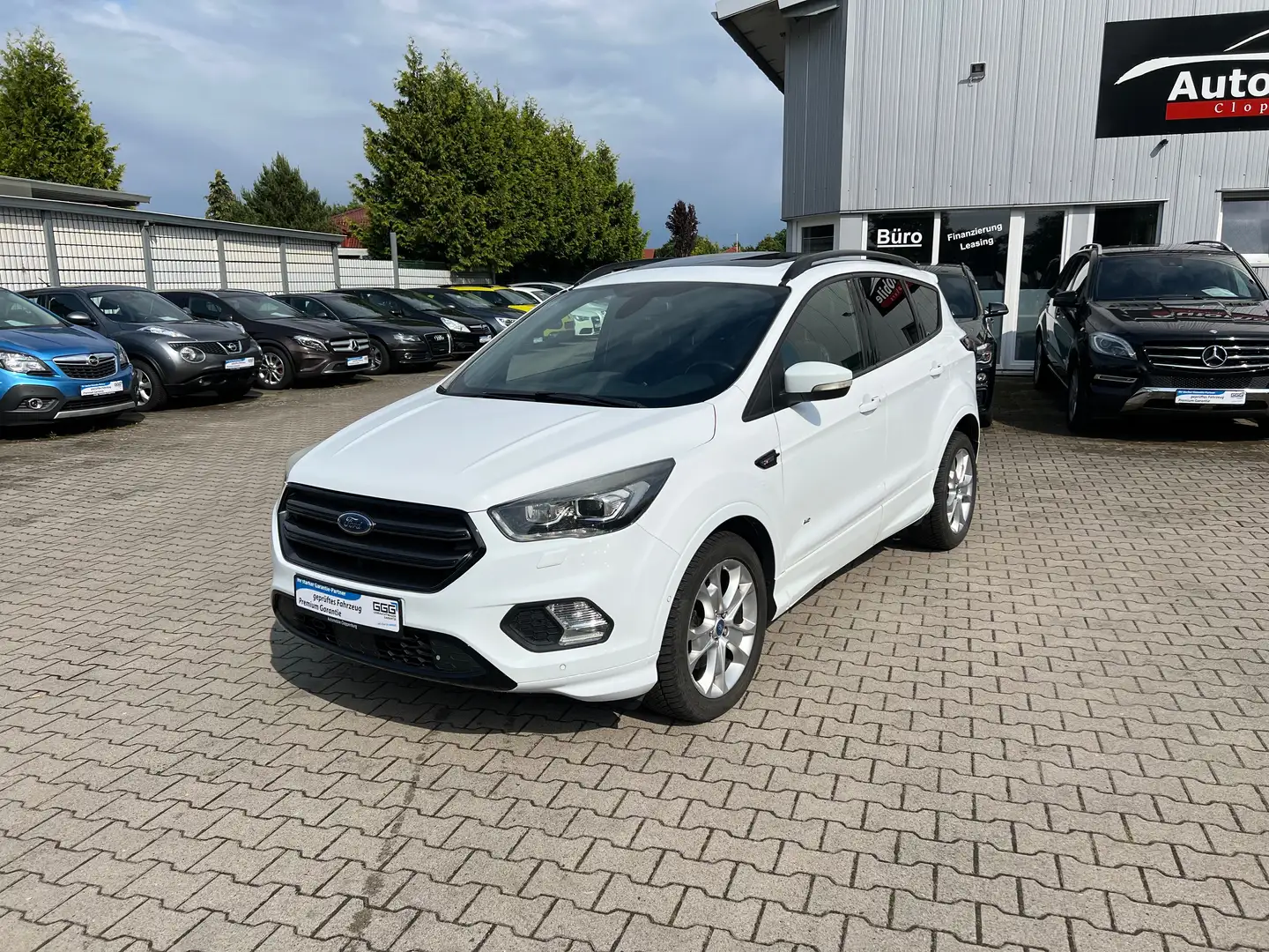 Ford Kuga 2.0 TDCI ST-Line AWD Automatik *NAV *RFK *PANO Weiß - 1
