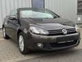Volkswagen Golf VI Cabrio Life 1.Hand Leder Xenon Alu PDC Marrone - thumbnail 6