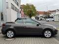 Volkswagen Golf VI Cabrio Life 1.Hand Leder Xenon Alu PDC Marrone - thumbnail 7