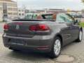 Volkswagen Golf VI Cabrio Life 1.Hand Leder Xenon Alu PDC Marrone - thumbnail 8