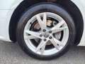 Audi A4 A4 Avant 2.0 TDI 190 CV quattro Business Sport Wit - thumbnail 5